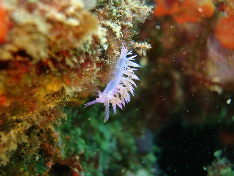 2013-06-14 23-35-51 Lisa.JPG